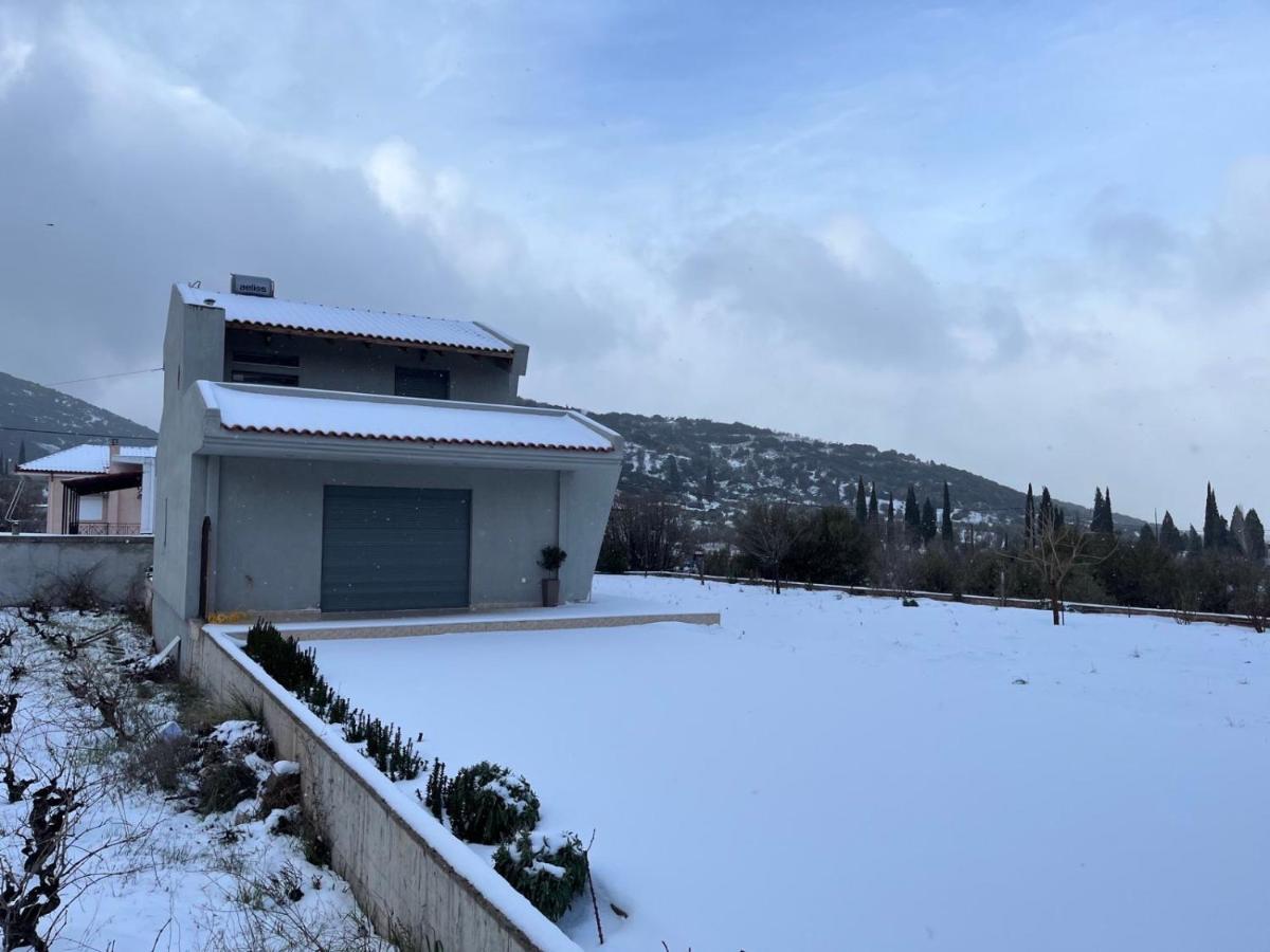 Stellas Guesthouse Near Arachova Stirion Экстерьер фото